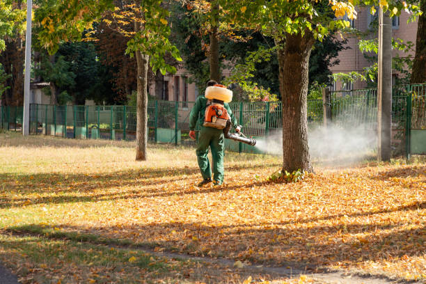 Best Mosquito Control Services  in Prineville, OR
