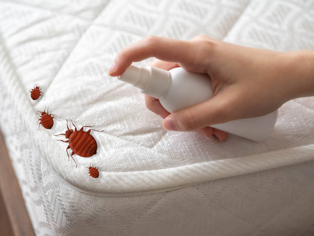 Best Pest Inspection Near Me  in Prineville, OR