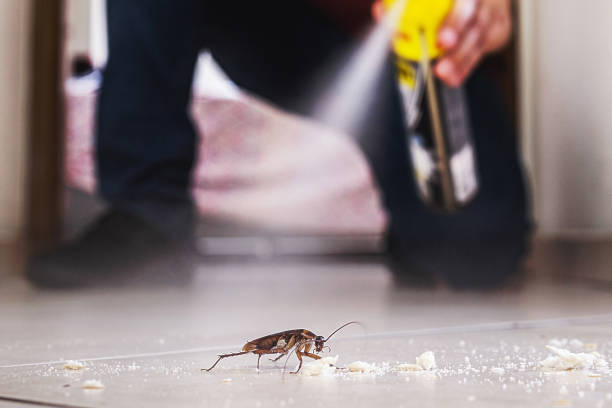 Best Exterminator Services  in Prineville, OR