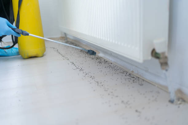 Best Best Pest Control Near Me  in Prineville, OR
