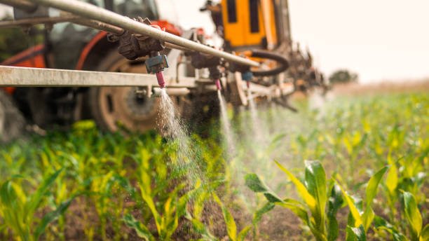 Best Commercial Pest Control Services  in Prineville, OR