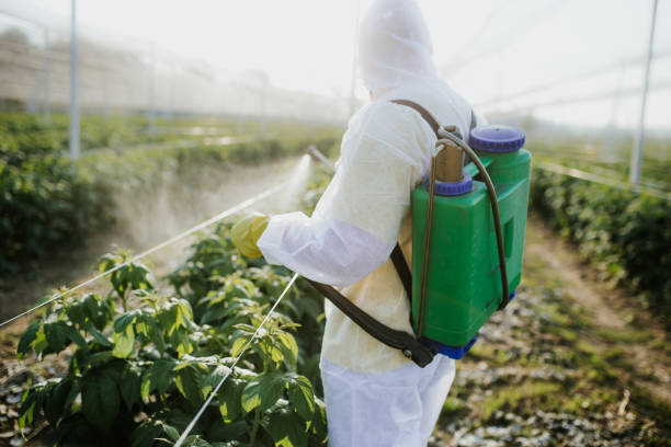 Best Local Pest Control Services  in Prineville, OR